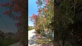 От пляжа до 🏡 аппартаментов 280м, Канали, Эпир, Греция. 11.07.24 #дорогапешком #доморя #beach
