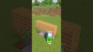 Minecraft Double Block Swapper #minecraft #minecraftmemes #minecraftshorts