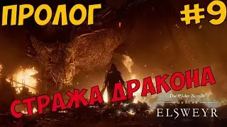 TESO:The Elder Scrolls Online часть #9 ►ПРОЛОГ СТРАЖА ДРАКОНА◄