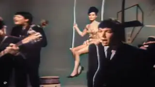 The Animals - Bring It On Home (1965)