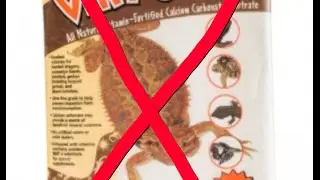 Why sand is bad for bearded dragons!