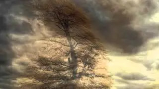 When the Wind Blows by Ekaterina