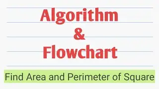 Algorithm and Flowchart to find Area and Perimeter of a Square||Algorithm||Flowchart||