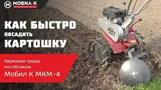 Как быстро посадить картошку? Нарезаем гряды мотоблоком МОБИЛ К МКМ-4!