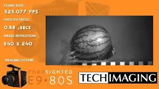 Half a million Frames a Second: Sabot Slug hitting a Watermelon using the Pharsighted E9•80S