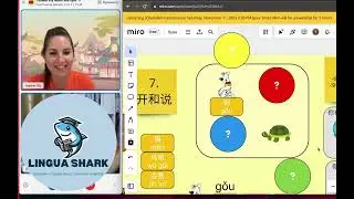 Lingua Shark chinese
