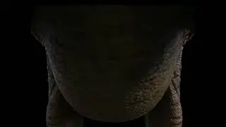 Brachiosaurus vore (Edit)