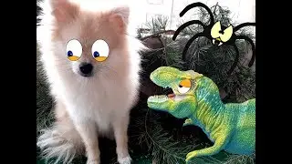 Магия тираннозавра! Ти-Рекс беспомощен! Magic dogs and dinosaur