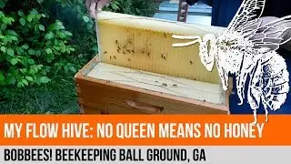No Queen = No Honey