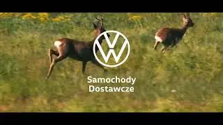 Volkswagen Poznań. Tu przemysł spotyka się z naturą