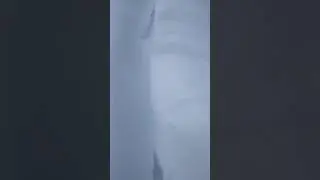 Волчьи следы на Планерной