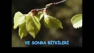 Tanrı Önce erkeği yarattı... :)