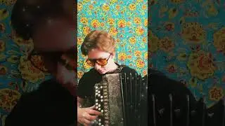 Coco Jamboo #баян #баянист #mrpresident #music #топ