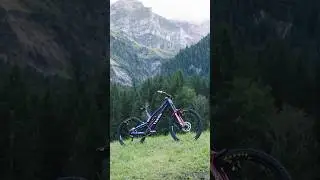 🙌 Canyon designers 😮‍💨 