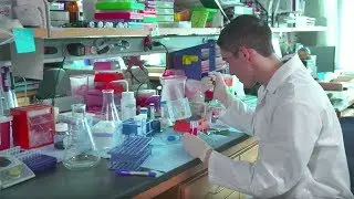 AACR Cancer Progress Report 2017