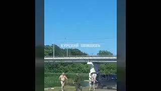 Драка на пляже из-за коров