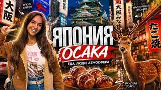 Osaka, Japan – a city worth exploring! Nara Deer Park and the best food!