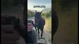 ТабаракаАллах ❤️🔥