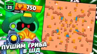 ПУШИМ КОРДЕЛИУСА НА 25 РАНГ....  СТРИМ БРАВЛ СТАРС... #shorts