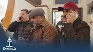 Tattersalls Autumn Horses in Training Sale, Day 1 Review 2023