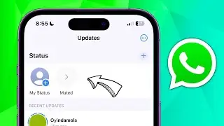 How To See Muted Status In WhatsApp In New Update