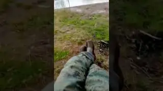 10 мая 2017 г.