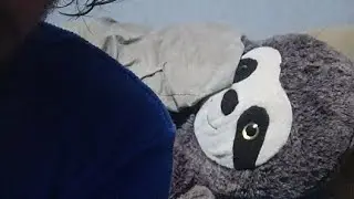 SLEEP STREAM!!!! ( LETS GET 2K BEFORE I WAKE UP)