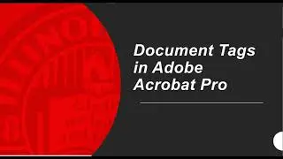 Document Tags in Adobe Acrobat Pro