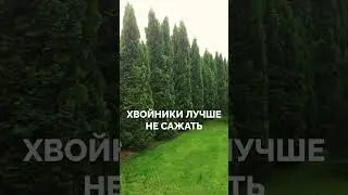 БЛАГОУСТРОЙСТВО ЗА 15 МЛН?! #shorts #участок #дача
