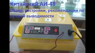 Инкубатор АИ-48. Обзор, настройки, рекомендации по лучшей выводимости.