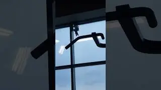 Сорока или Ворона за окном в городе Барнаул