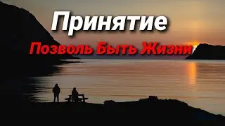 Принятие. Позволь Быть Жизни