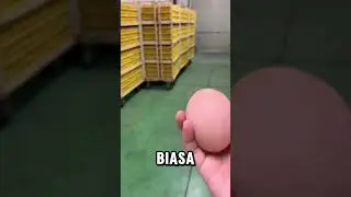 telur berisi telur⁉️