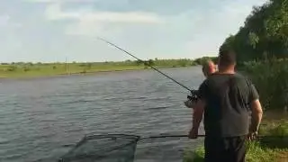 Крещенка