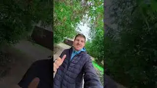 700 дней на фруктах!!! Фруктоед. Фруктоедение. 08.09.2022