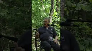 What predators eat cicadas? 