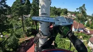 Арбористика | Удаление березы в ограниченном пространстве