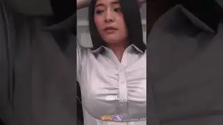 Dislebew bos