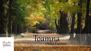 Toamna Otilia Cazimir | Poezii de Toamna | Poezii Otilia Cazimir