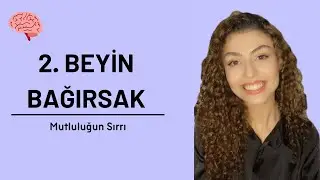 Bağırsak Sağlığının Psikolojimiz Üzerine Etkisi | Mutluluğun Sırrı