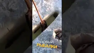 New way Fishing or poaching?