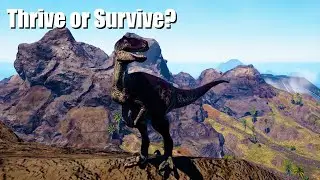 Running solo is brutal