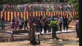 Rain Dance Organiser - Chennai