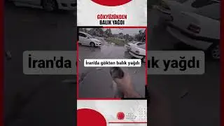 İran'da bilim insanlarının 