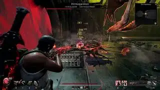 Primogenitor - No-Hit Corrupted Savior (Apocalypse)