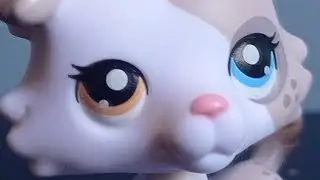 NOVOS MODELOS DE LPS???
