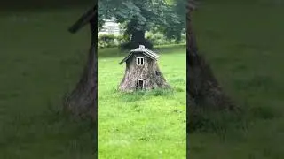 Home of squirrel . Mark Evans & R younker - Good Morning Nepal out now #nature #videography #animals