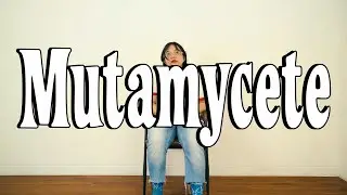 Sunwich - Mutamycete (Official Lyric Video)