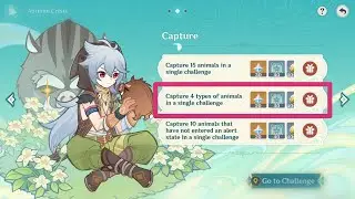 HOW TO Capture 4 types of animals in a single challenge