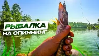 Рыбалка на щуку 2024. Рыбачим с кайфом